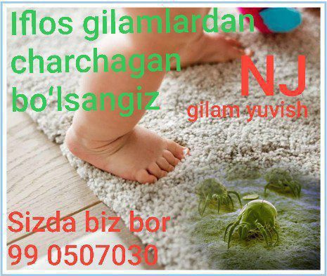 Gilam yuvish korxonasi oʻz xizmatlarini taklif qiladi
