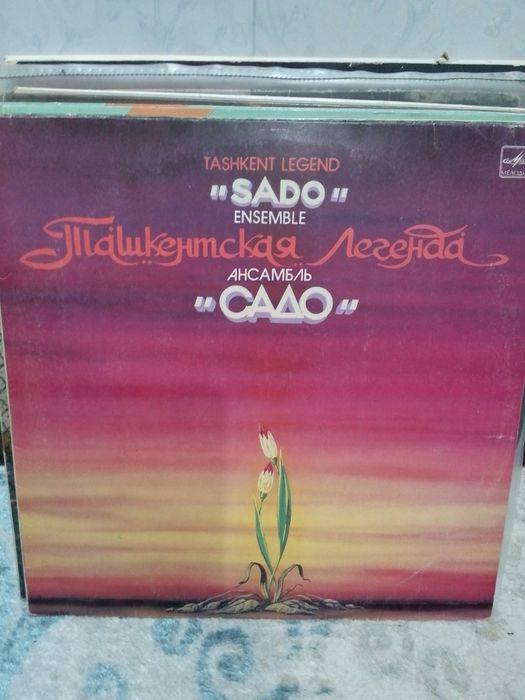 Виниловые пластинки