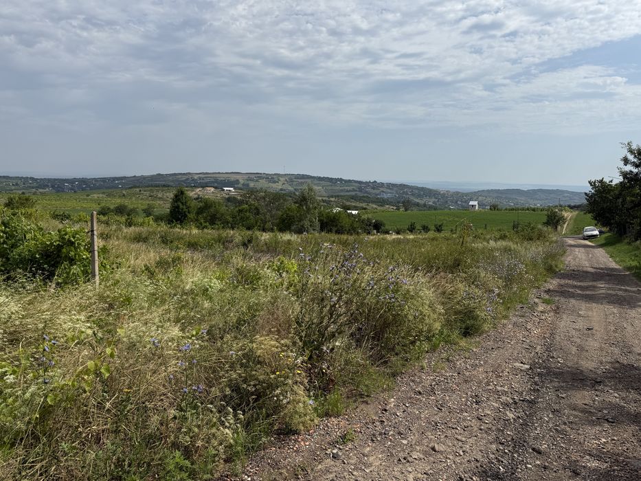 Teren intravilan Goruni 3000 MP toate utilitatile