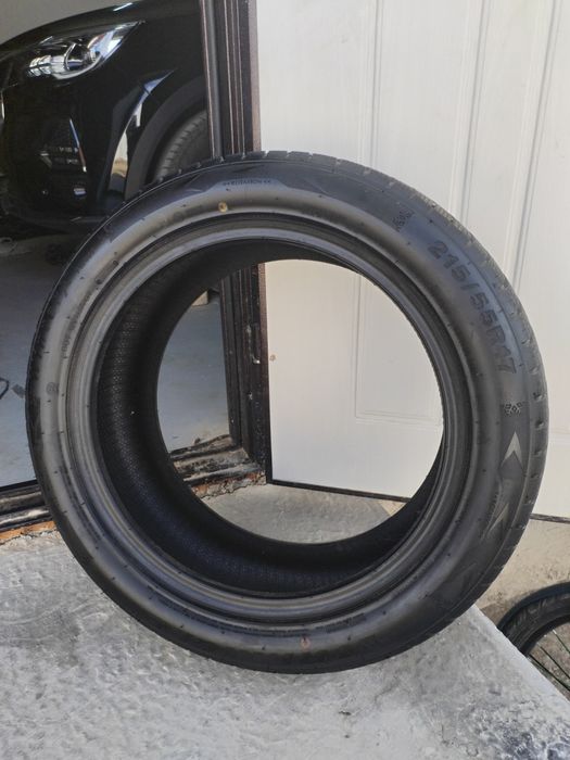 Зимние шины Triangle 215/55R17