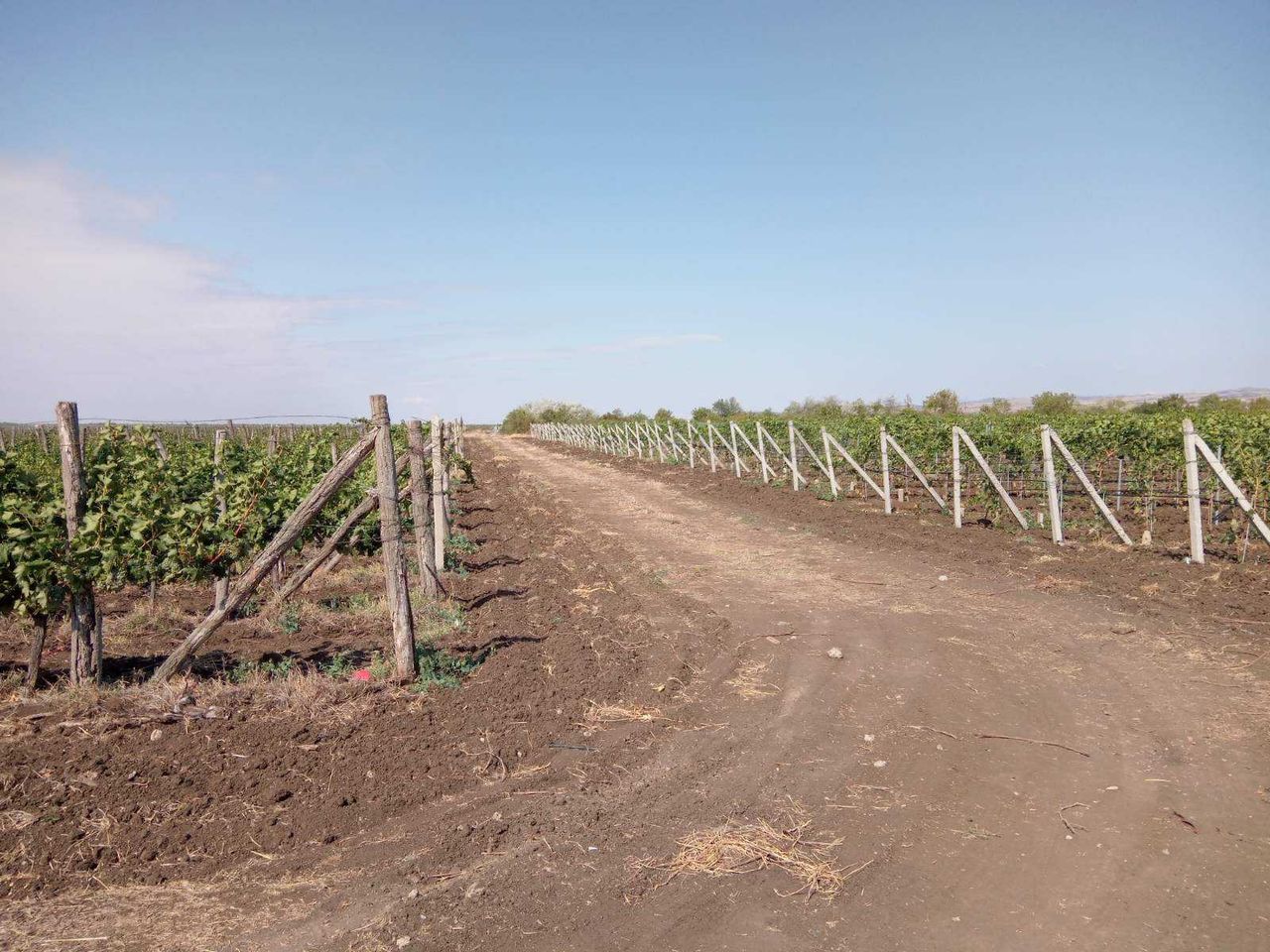 Продава се Парцел в Поморие - 8148 кв.м за 7 €/кв.м - Снимка #6