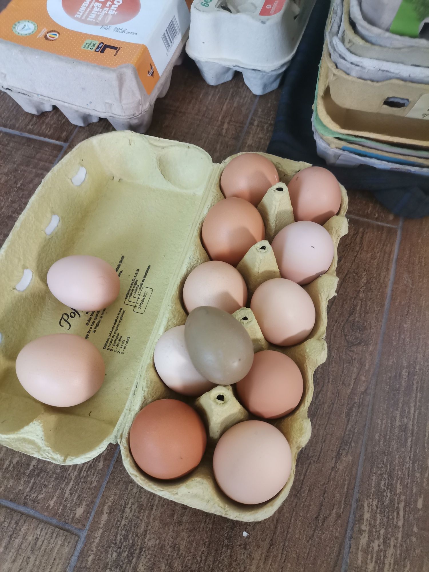 Ouă de prepeliță și de găină de casă