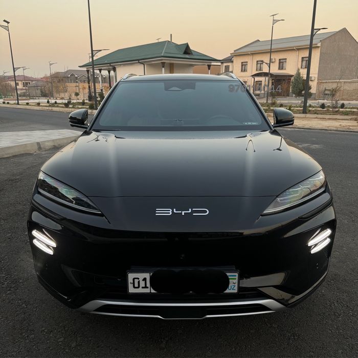 Byd,bivaidi,song plus,champion,2024/2024 yilchempion,чемпион