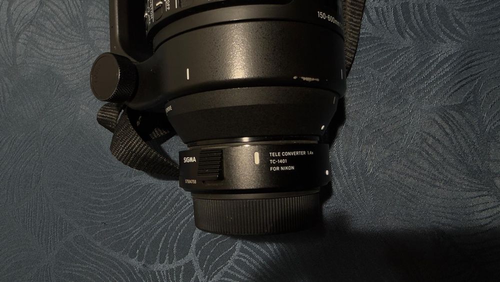 Sigma 150-600mm f/5-6.3 DG + Teleconvertor 1.4x