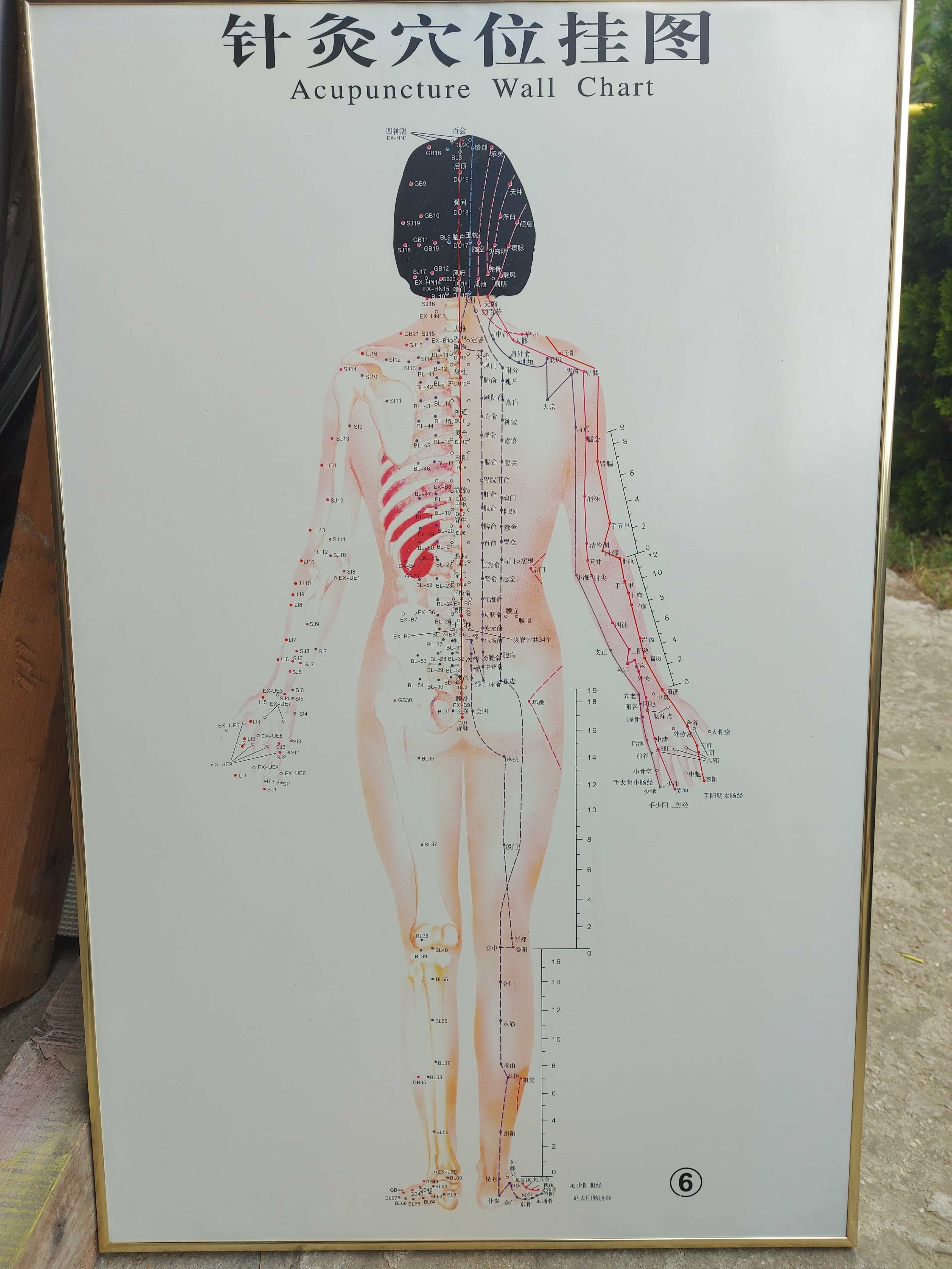 Tablouri harta acupunctura