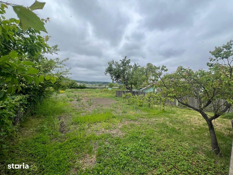 Teren la strada principala in Dancu   2748 mp  deschidere de 40 m