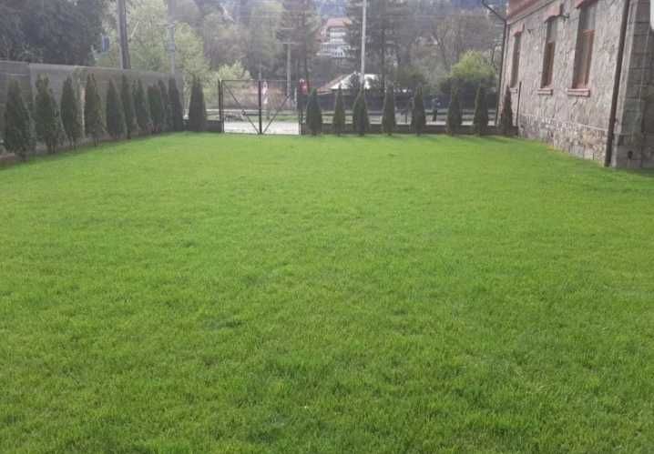 Gazon Rulou Insamantare