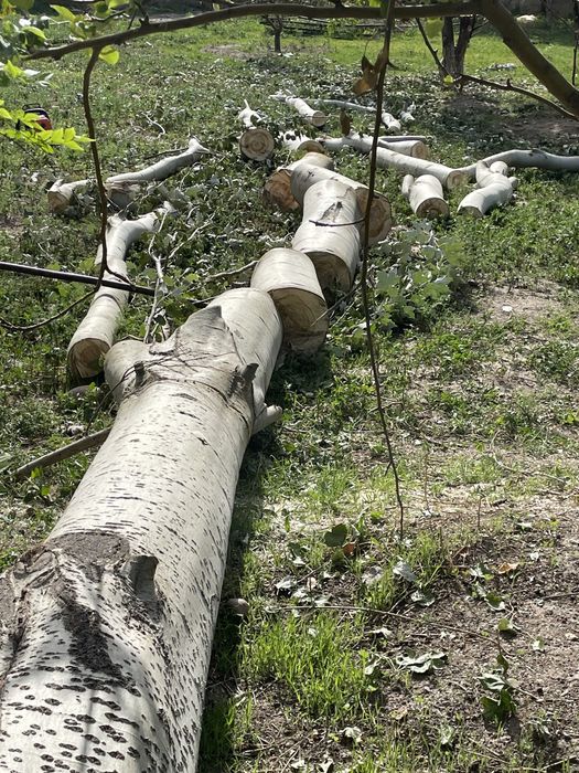 Қыстық Отын.Драва на зиму