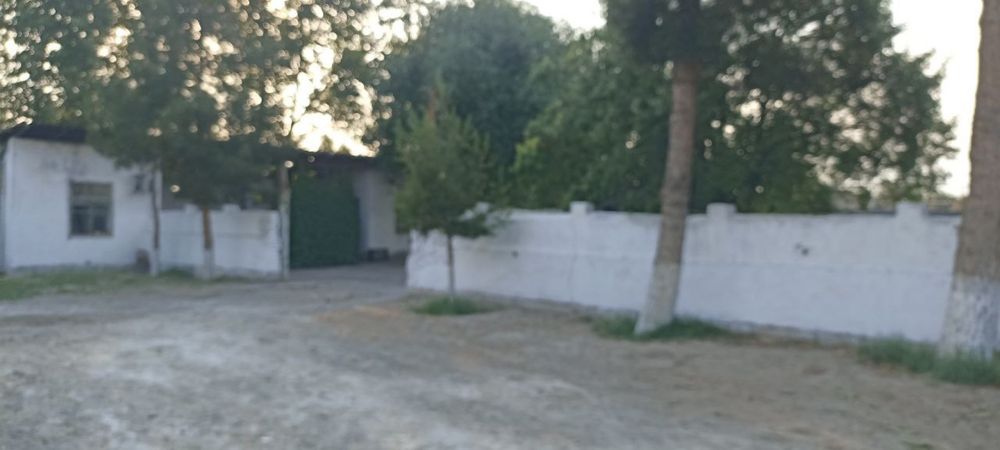 Biznes uchun bino katta maydonli