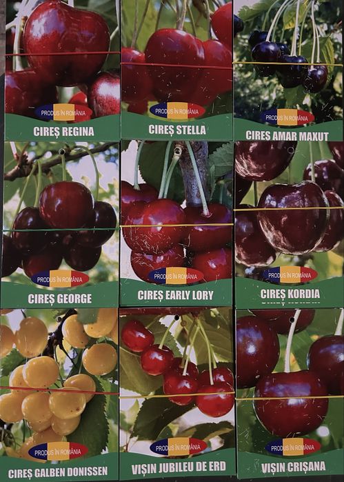 Pomi Fructiferi Certificati Si Ambalati Pentru Revanzare