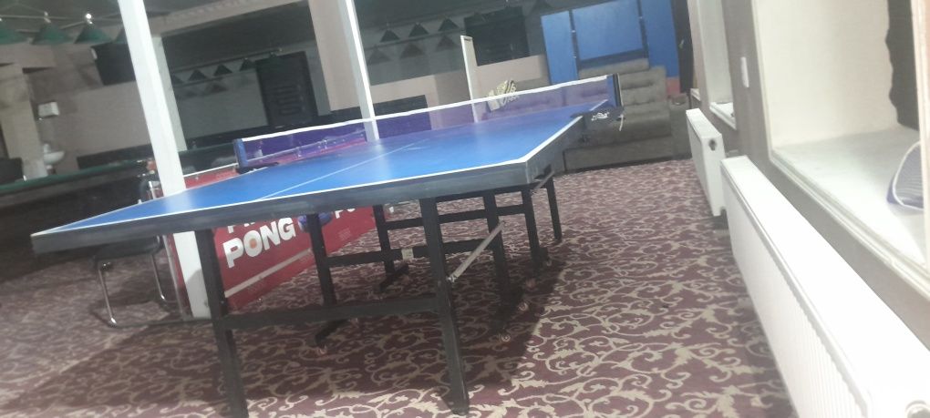 Ping pong MDF Stollar  bor