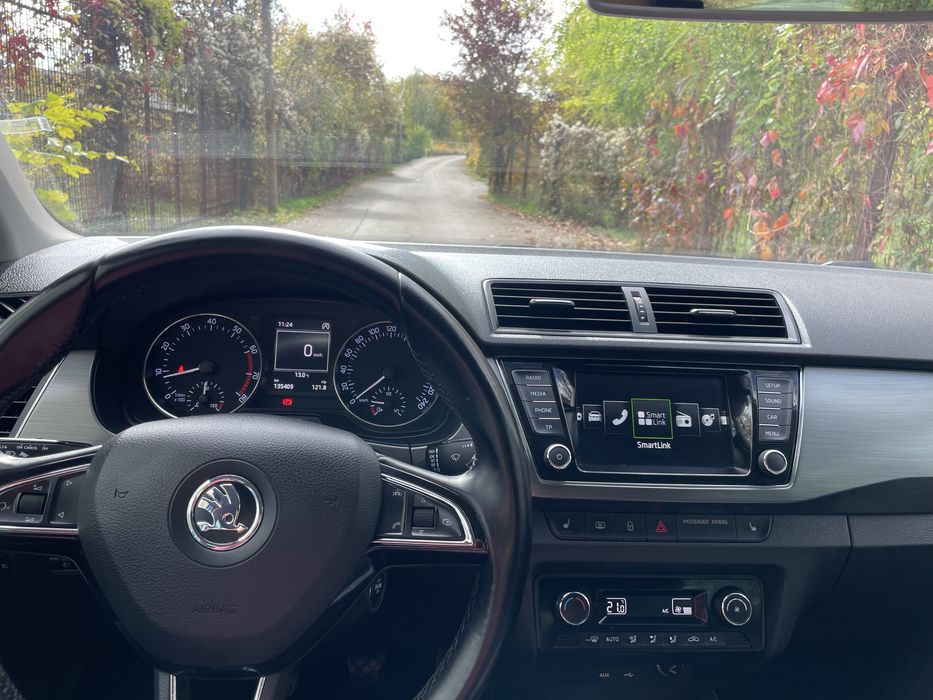 Vand skoda fabia 2015