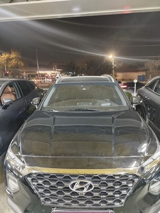 Hyundai santafee 2020