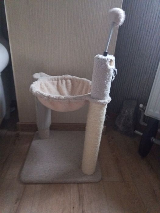 Ansamblu pentru  pisici