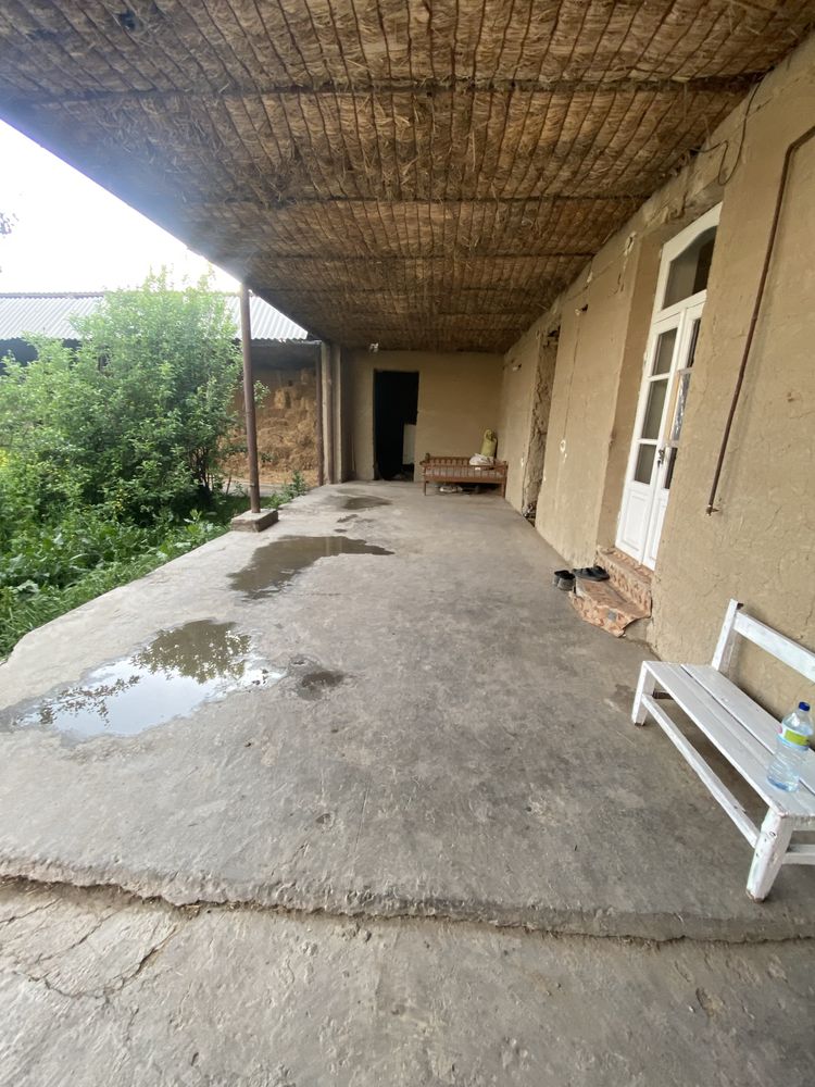 Samarqand viloyati Samarqand shaxri Ziyokorlar MFY Ziyokor kuchasi 83