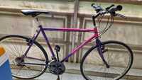 Bicicleta monza pink