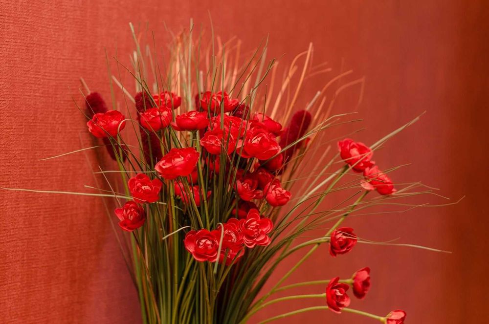 Двустаен апартамент Лозенец