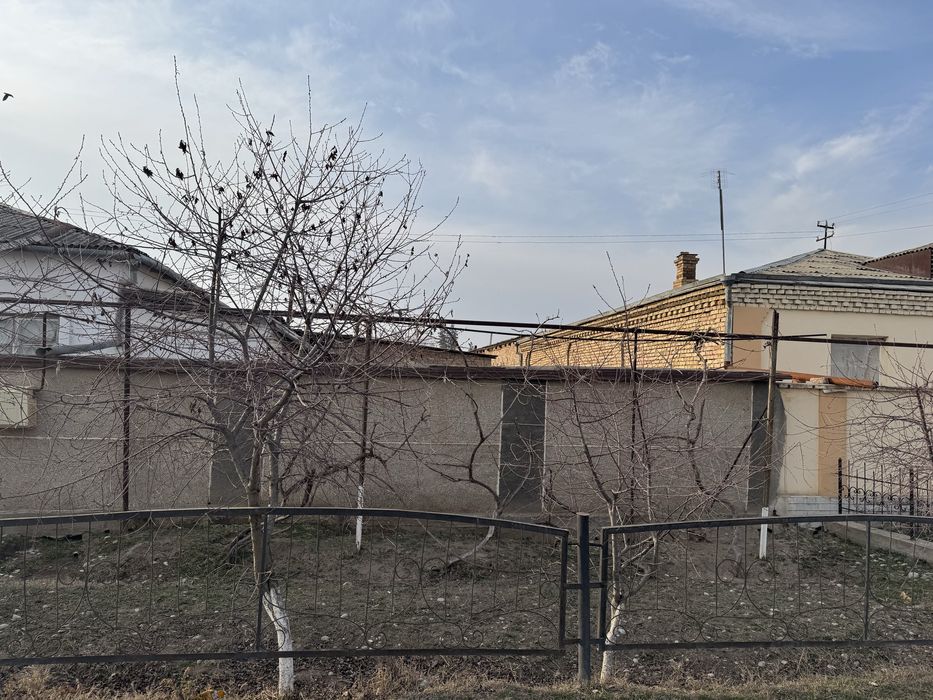 Bekobod tumani. Zafarda 4 so’tixli xovli sotiladi