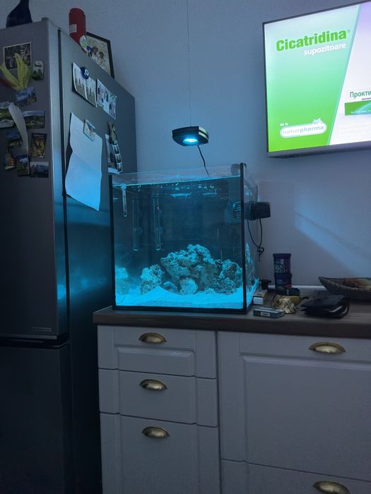 Acvariu Marin Reef