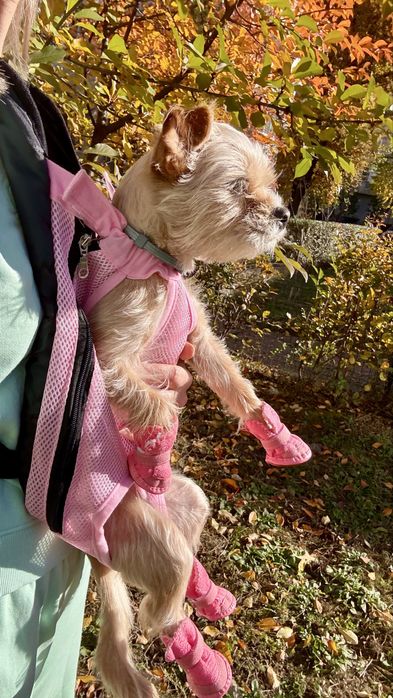 Marsupiu / ham adorabil pentru catei - confort, siguranta- L-XL