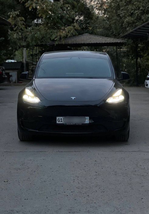 Tesla Model Y Dual Motor