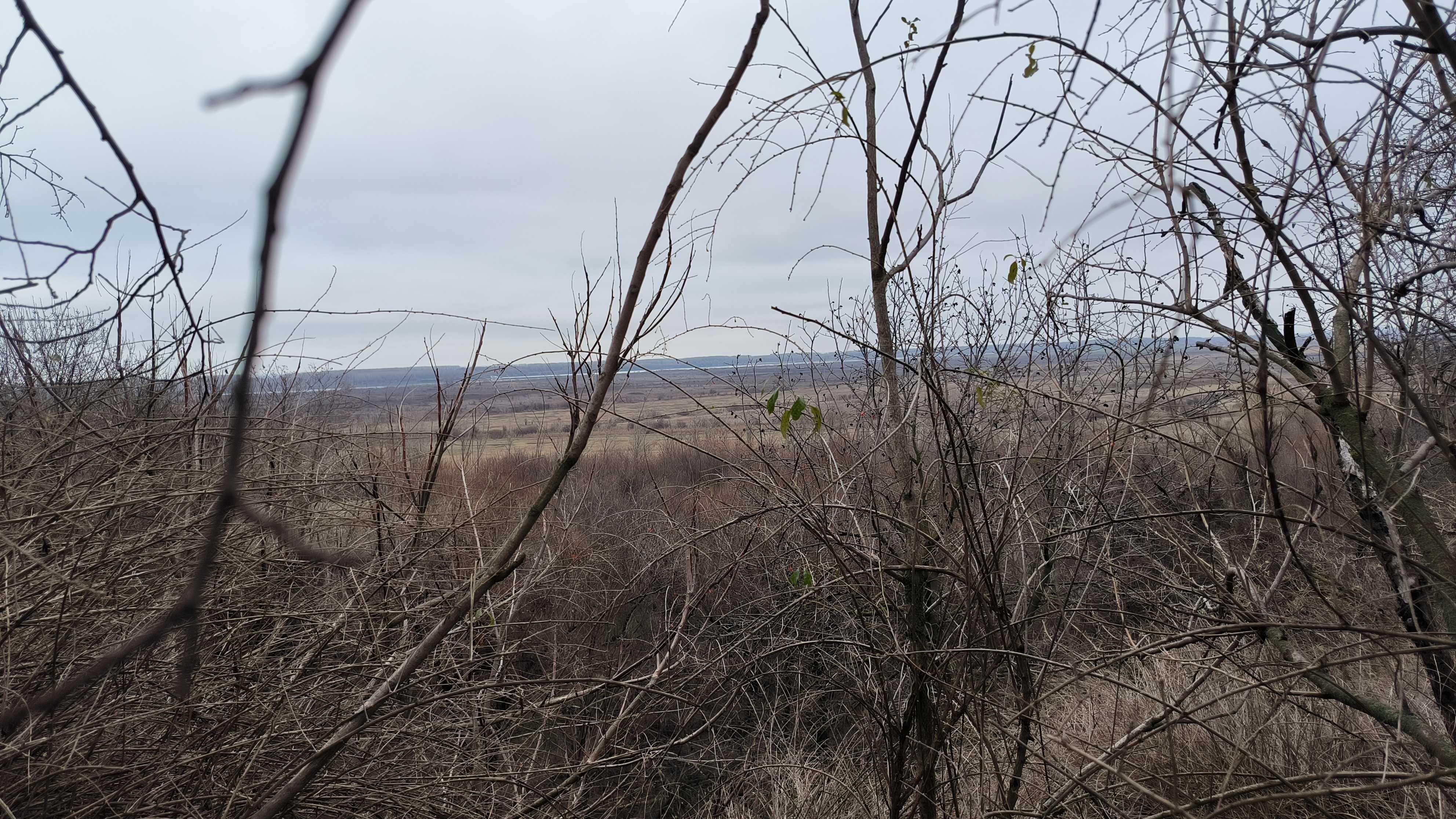 Къща в село Станево, община Лом