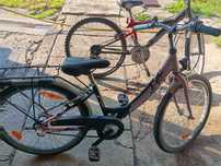 Biciclete 100 lei bucata