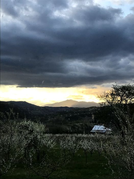 Vand polen crud de primăvară