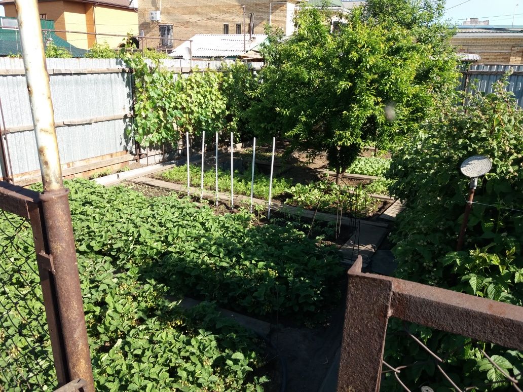 Продам в центре частный дом с огородом и гаражом.