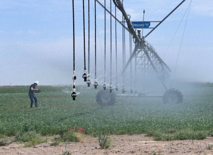 Ёмгирлатиб сугориш техналогияси