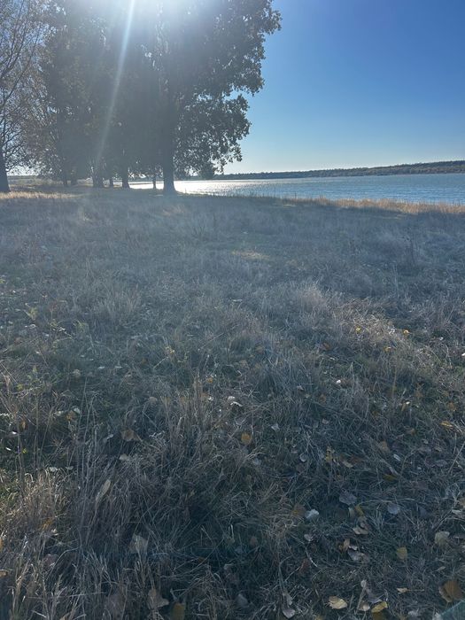 Teren direct la Dunăre