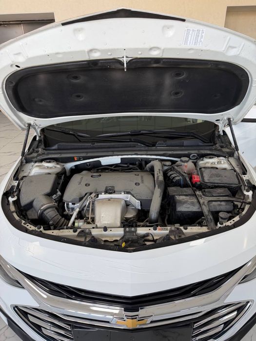 Malibu premier masla