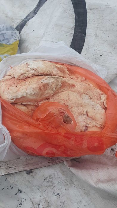 Говяжий сбой для собак