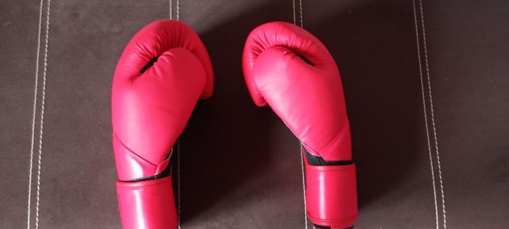 Mănuși box Everlast Elite 16oz – ca noi