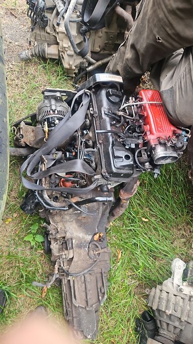 Маторы из европы