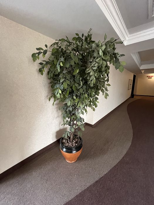 Искуствееные растения в горшке 1.8 м