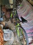 Bicicleta first bike
