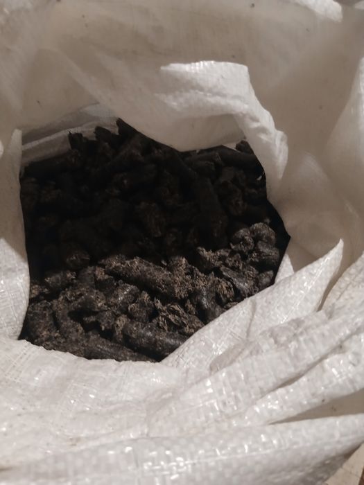 Slot floarea soarelui