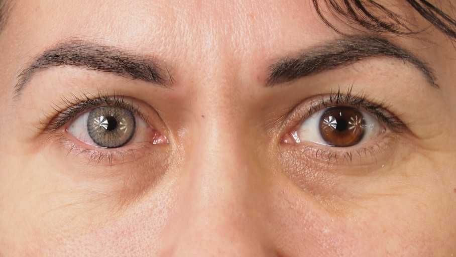 Orlando N - lentile de contact colorate anuale, pachet complet