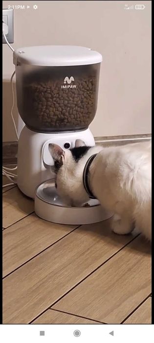 Хранилка за котки с камера