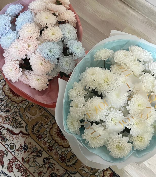 цветы хризантема