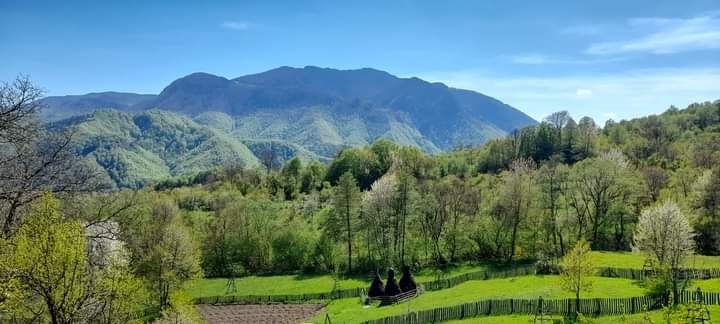 Casă de vânzare la munte Perisani