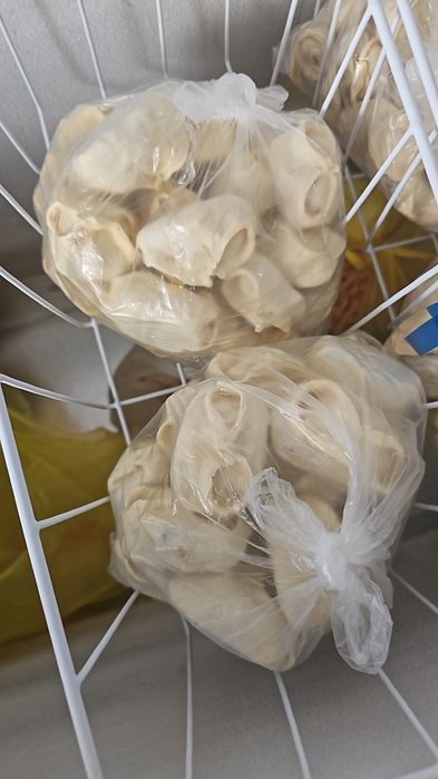 Домашние манты и пельмени!