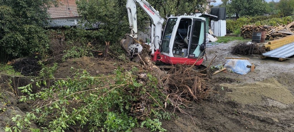 Inchiriez Miniexcavator/încărcător/Basculanta de 6.5T  exc