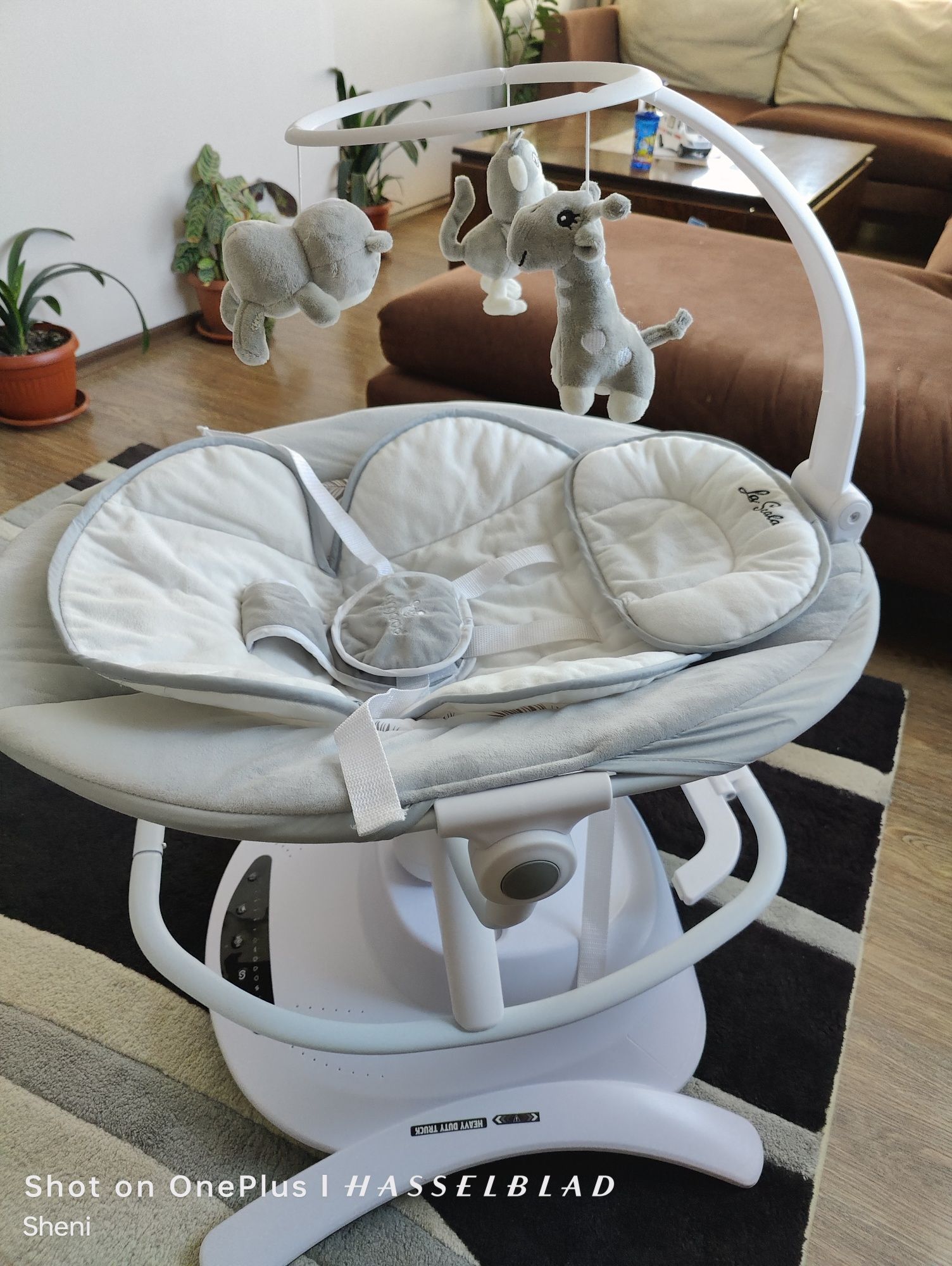 Cangaroo La scala