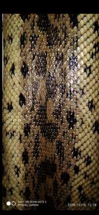 Шкура от змия ширина 8 см длина 1 метр