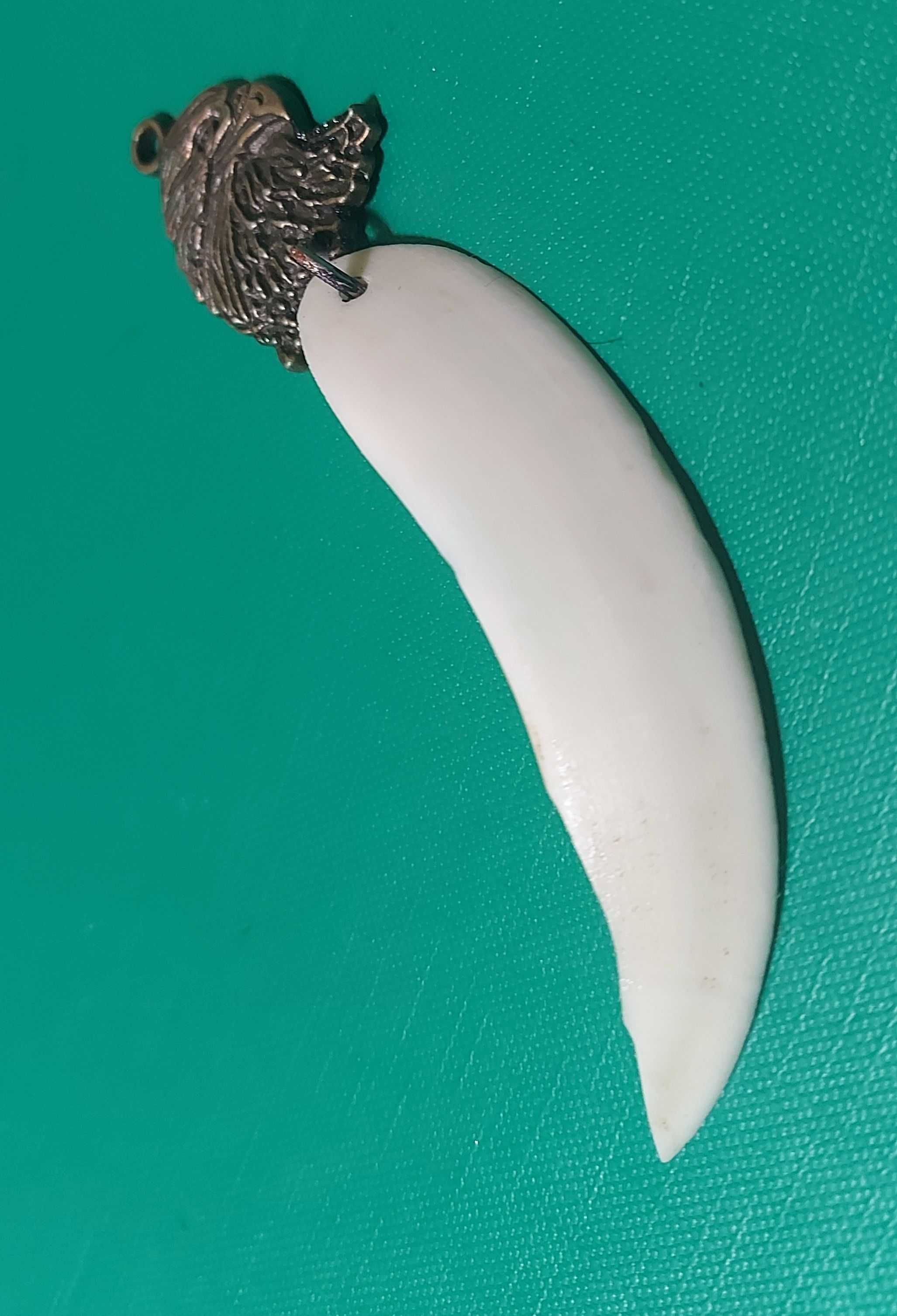 Medalion din os cu cap de vultur argintiu_2 ( colt, corn, caprior )