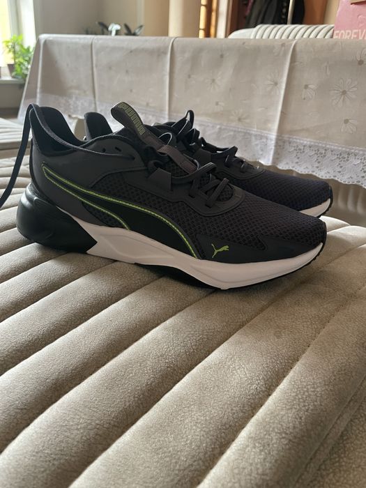 Puma krasovka sifatli