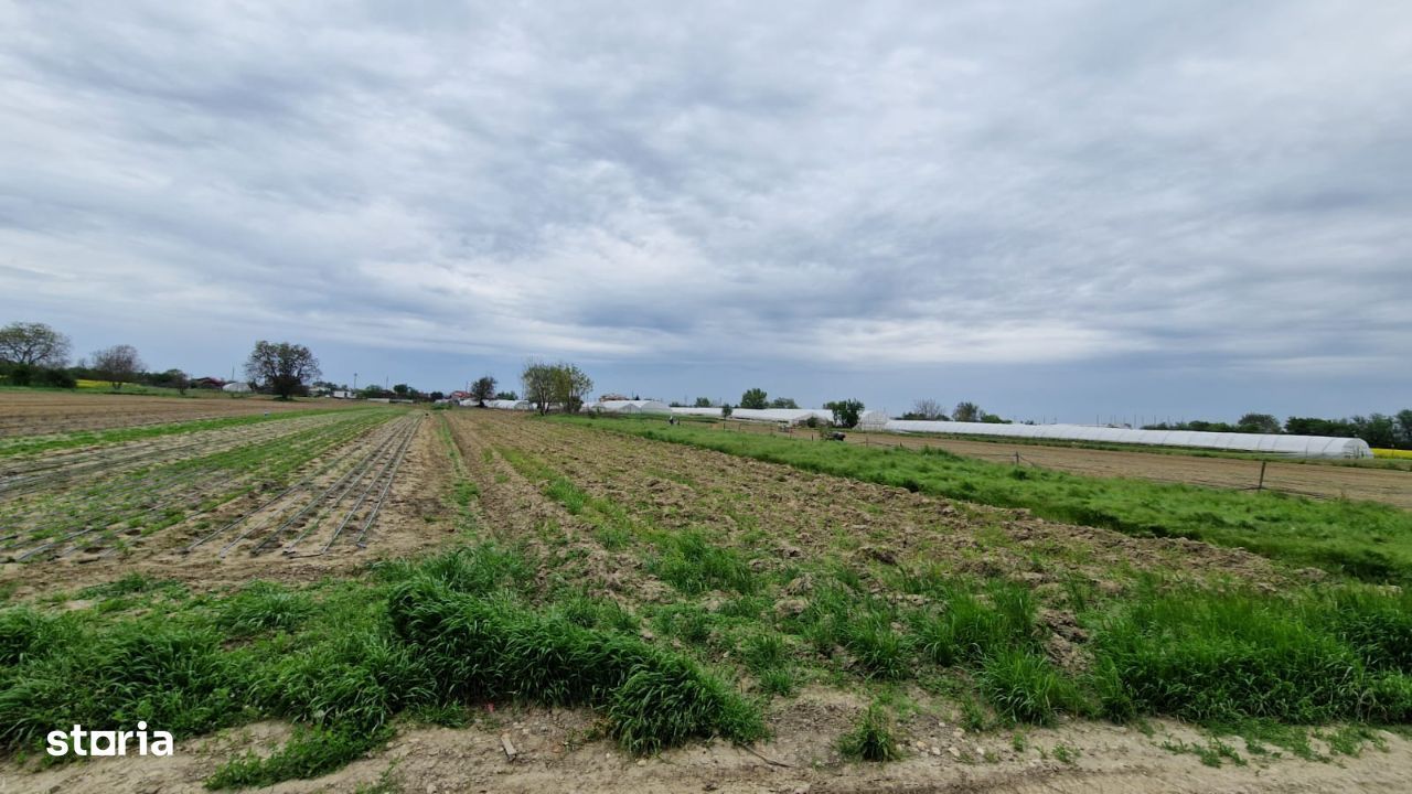 650 mp intravilan situat in Copaceni - Strada Cantonului