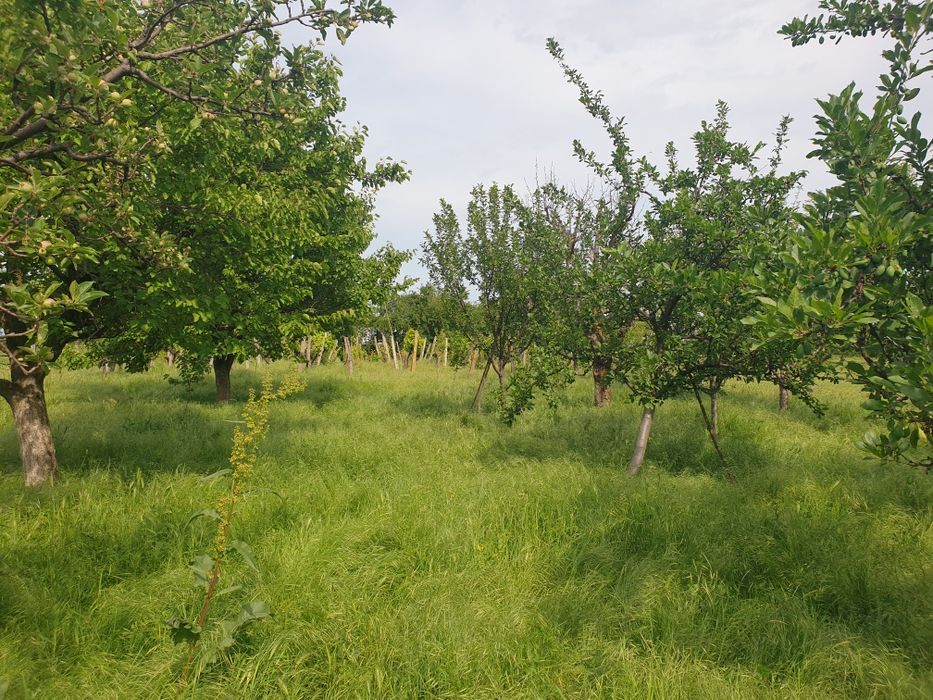 Продава се Парцел в с. Дълбок извор, Област Пловдив - 800 кв.м за 14 €/кв.м - Снимка #1